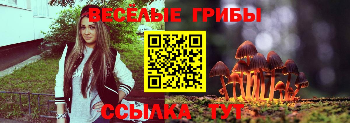 Галлюциногенные грибы Cubensis Электросталь